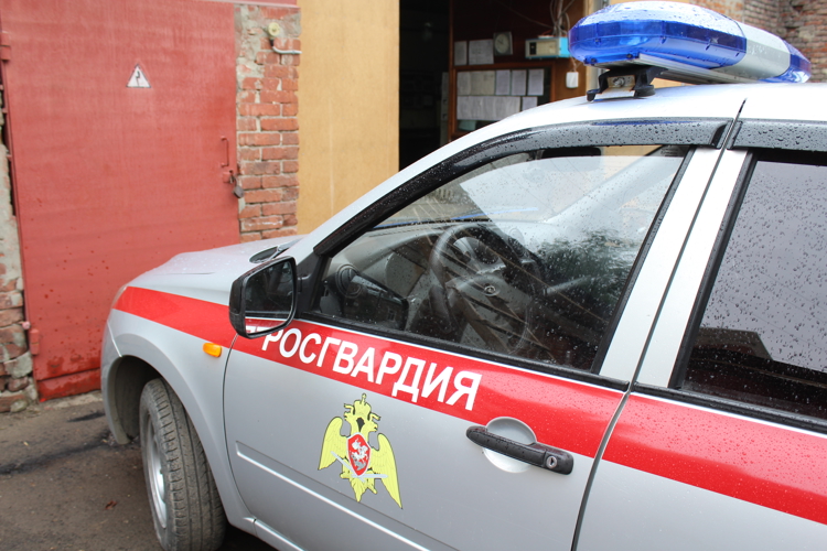 В Саратовской области сотрудники Росгвардии задержали нетрезвого водителя