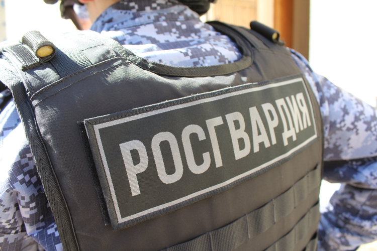 В отношении гражданина, задержанного сотрудниками Росгвардии за нападение на жителя г.Балашова, возбуждено уголовное дело