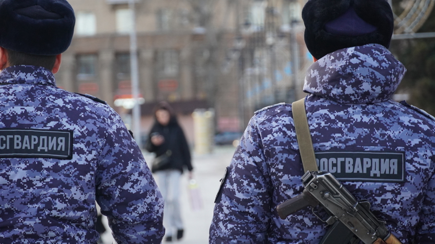В Саратове сотрудники Росгвардии задержали гражданина, подозреваемого в серии краж (видео)
