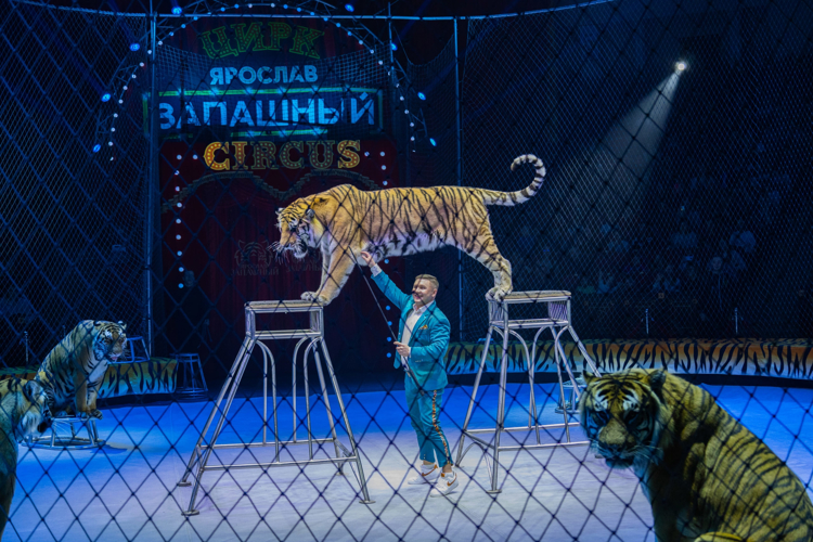 В Саратове семьи сотрудников вневедомственной охраны посетили грандиозное представление представителей легендарной цирковой династии, посвященное 10-летнему юбилею Росгвардии